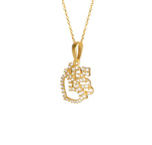 Load image into Gallery viewer, Solid 14k Yellow Gold Diamond Heart Necklace - Queen Heart Necklace - 14k Yellow Gold Princess Diamond Necklace - Heart Diamond Necklace
