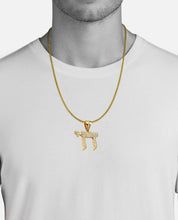 Load image into Gallery viewer, Solid 14k Yellow Gold Diamond Chai necklace - Diamond Chai Necklace - Chai Necklace Women, Chai Necklace Gold - Hebrew Necklace - Chai Gold
